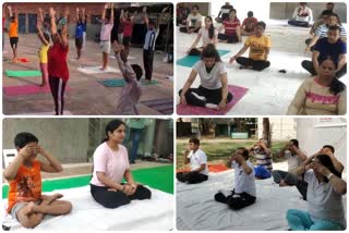 yoga practiced in vasant kunj and mehrauli on international yoga day