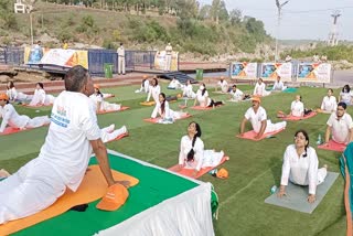 International Yoga Day