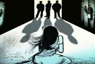 नागौर में महिला से दुष्कर्म, Woman raped in Nagaur