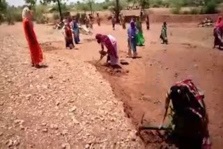 dungarpur news, employment under mgnrega, corona period, work in MGNREGA, MGNREGA Scheme,