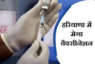 Mega vaccination Haryana