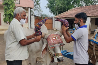 ભીમ અગીયારસ