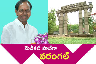 kcr, warangal