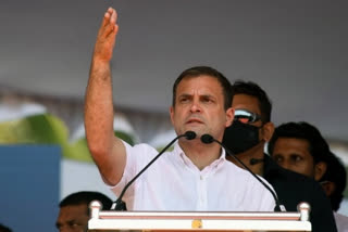 Congress leader Rahul Gandhi, file photo