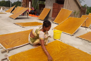 Mango Pulp Candy makers