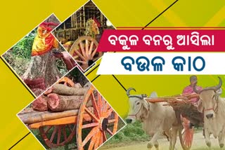 ସେନାପଟା ପାଇଁ ପୁରୀରେ ପହଞ୍ଚିଲା ବଉଳ କାଠ