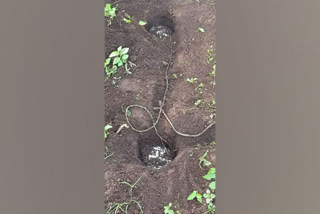 Malkangiri Police  Border Security Force  improvised explosive devices  IED  Swabhimaan Anchal  BSF unearths IEDs in Odisha  Odisha Border Security Force  IEDs in Odisha-Andhra Pradesh border  BSF unearths IEDs in Odisha's Swabhiman Anchal  BSF unearths IEDs in Odisha's Swabhiman Anchal  ഒഡീഷയിലെ സ്വാഭിമാന്‍ അഞ്ചലില്‍ നിന്ന് രണ്ട് സ്ഫോടക വസ്തുക്കള്‍ കണ്ടെത്തി  ഒഡീഷ  സ്വാഭിമാന്‍ അഞ്ചല്‍  സ്ഫോടക വസ്തുക്കള്‍