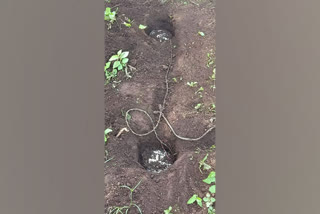 BSF unearths IEDs in Odisha's Swabhiman Anchal