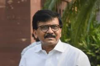 Sanjay Raut on Sharad Pawar's meeting