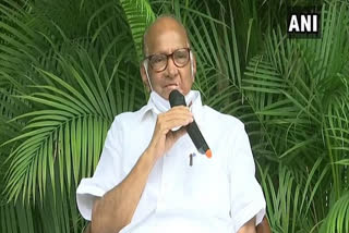 sharad pawar