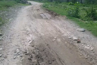 haripur Baman Wala Link Road