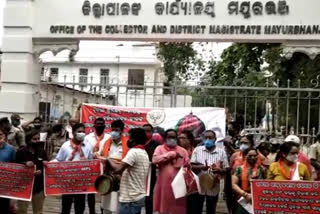 bjp demands Ratha Yatra baripada,  second srikshetra, baripada sri haribaladev jiu temple, ଦ୍ବିତୀୟ ଶ୍ରୀକ୍ଷେତ୍ର, ଶ୍ରୀ ଶ୍ରୀ ହରିବଳଦେଵ ଜୀଉଙ୍କ ରଥଯାତ୍ରା, ମୟୂରଭଞ୍ଜ ଜିଲ୍ଲା ବିଜେପି, ଜିଲ୍ଲାପାଳ କାର୍ଯ୍ୟାଳୟ ସମ୍ମୁଖରେ ଗଣ ଧାରଣା