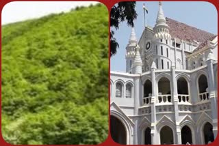 High Court seeks answer on Buxwaha Forest