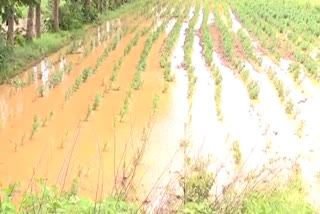 ಕೆರೆಗಳಂತಾದ ಜಮೀನು