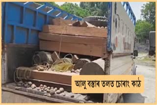 illegal-wood-seized-from-sidli-of-chirang