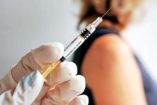 white house coivd 19, white house on vaccination