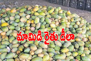 mango farmers problems