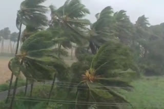 heavy rain at west godavari district