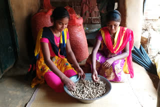 Rain poses threat for groundnut crops in Birbhum