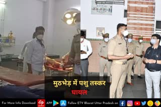 पुलिस मुठभेड़ में 6 बदमाश गिरफ्तार