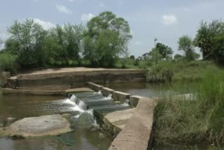 bijepur check dam is a blessing for farmer in subarnapur