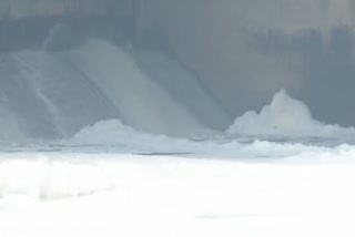 A layer of toxic foam seen floating on the surface of river Yamuna