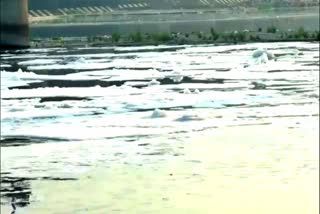 A layer of toxic foam seen floating on the surface of river Yamuna