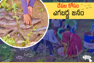 fishload van overturned at lingojigudem suburbs, yadadri bhongir district