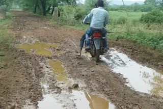 jabalpur villagers facing trouble due to dirt track road