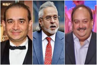 ED transfers Rs 9,000 crore of Rs 18,000 crore assets seized from Nirav Modi, Mallya and Choksi to banks