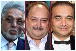 ED transfers Rs 9,371.17 cr assets seized in Mallya, Nirav, Choksi cases to PSBs, Centre