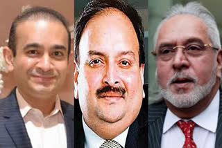 ed-transfers-rs-9371-dot-17-cr-assets-seized-in-mallya-nirav-choksi-cases-to-psbs-centre