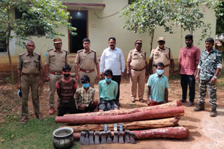 Red sandalwood smugglers