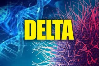 Two patients of Delta Plus variant were also found in Ujjain
