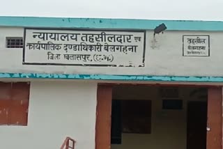 Belgahna Tehsil Office