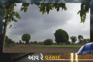 Good News: ચોમાસાની સીઝન શરૂ થતાં જ ભાવનગરના ખેડૂતો વાવણી કામમાં જોડાઈ ગયા