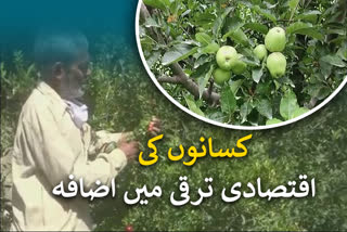 farmers turn into horticulture in doda jammu and kashmir