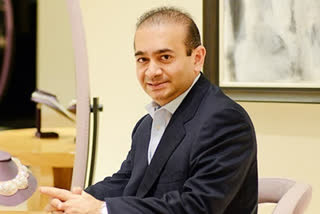 nirav modi