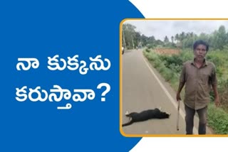 Man kills street dog