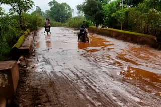 Bailadila Kirandul bridge