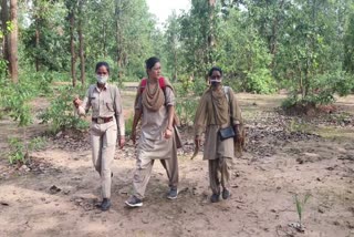 women forest worker in kondagaon