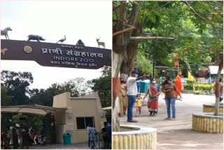 Crowd increasing at Indore Zoo