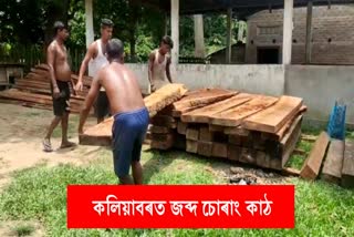 illegal timber seized at Kaliabar
