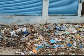 یادگیر: دبیر پورہ کالونی میں کچرے کا انبار، بلدیہ سے صفائی کا مطالبہ