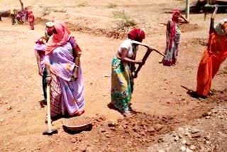 Rajasthan News,  Employment under MGNREGA in Rajasthan