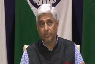 Ministry of External Affairs (MEA) Secretary (West) Vikas Swarup