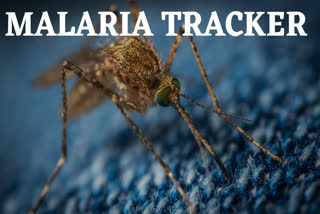 Malaria tracker,  Commonwealth