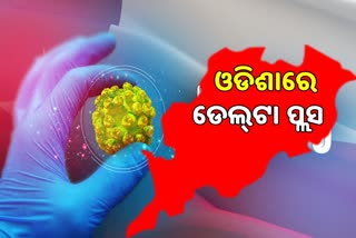 ଓଡିଶାରେ ଡେଲ୍‌ଟା ପ୍ଲସ ଭ୍ୟାରିଆଣ୍ଟ ଚିହ୍ନଟ, ଦେଶରେ 48 ମାମଲା