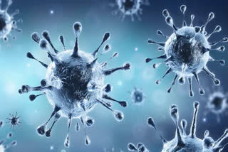 ملک میں کوروناوائرس کے ایکٹیو کیسزکی شرح تقریباً دو فیصد
