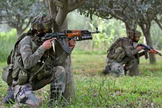 Shopian: 1 terrorist killed, another surrenders with AK rifle after encounter with security forces